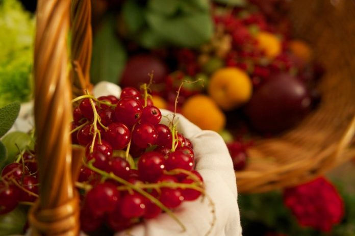 Marmellata di ciliegie e ribes come farla