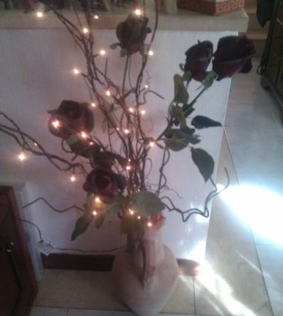 fiori e luci a natale