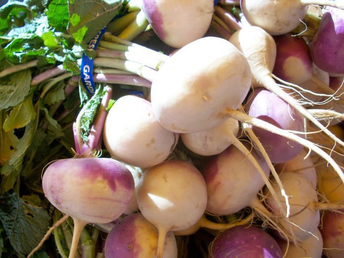 Gennaio cosa piantare e seminare: giardino-orto-campo