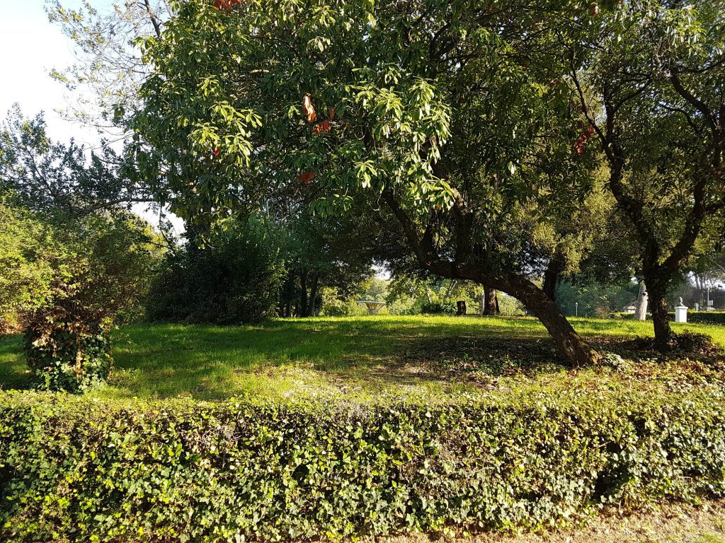 Avere un giardino ordinato è possibile?