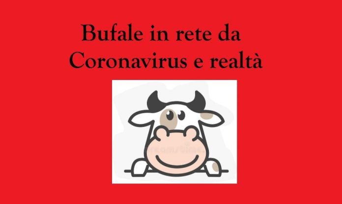 L'italiano medio e le bufale da Coronavirus