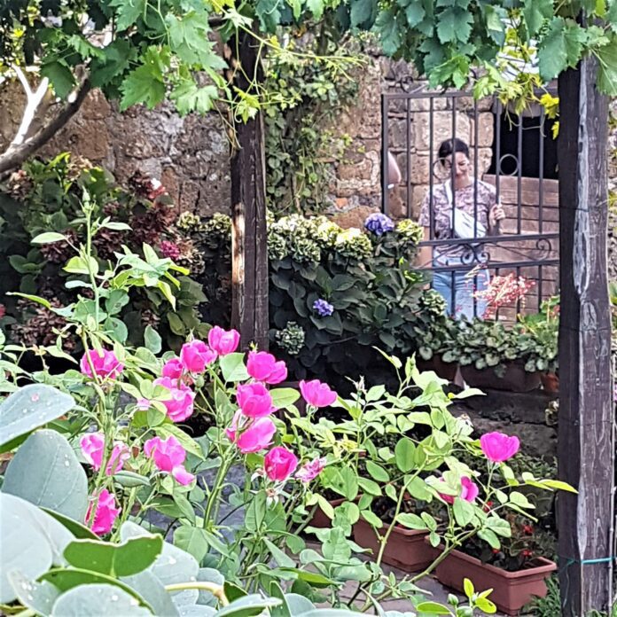 Il giardino in estate: quanta acqua dare a fiori e piante?