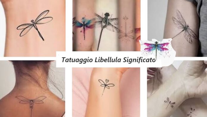 Libellula tatuaggio significato disegni simbologia
