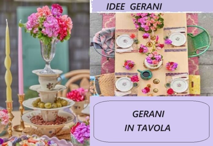 Decorare la tavola con i gerani, feste, cene e ricevimenti