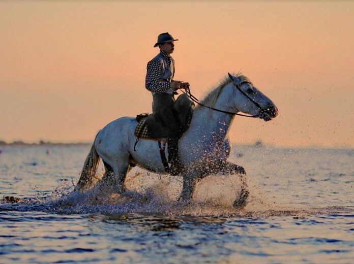 Sognare di cavalcare un cavallo significato simboli e numeri