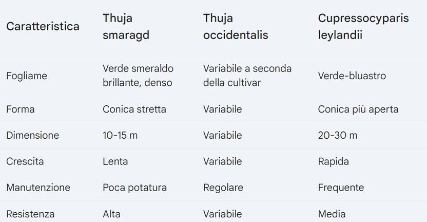 Caratteristiche 3 conifere. tabella