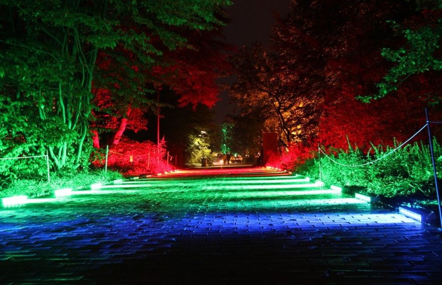 Illuminare gli accessi del viale